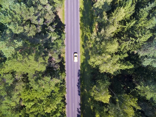 Karışık ormana Mazury, Polonya düz yolda havadan görünümü