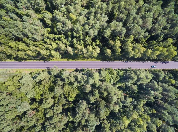 Vista Aérea Camino Recto Través Del Bosque Mixto Mazury Polonia — Foto de Stock