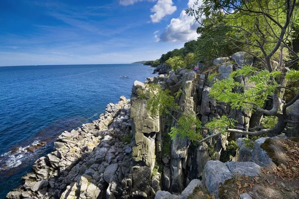 Příkré Útesy Severního Pobřeží Ostrova Bornholm Ostrova Helligdomsklipperne Svatyně Skály — Stock fotografie