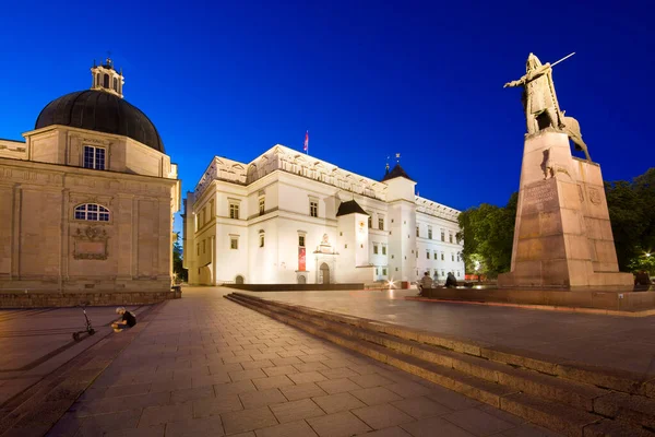 Nocny Widok Oświetlony Plac Katedralny Starym Mieście Wilnie Litwa Bazylika — Zdjęcie stockowe