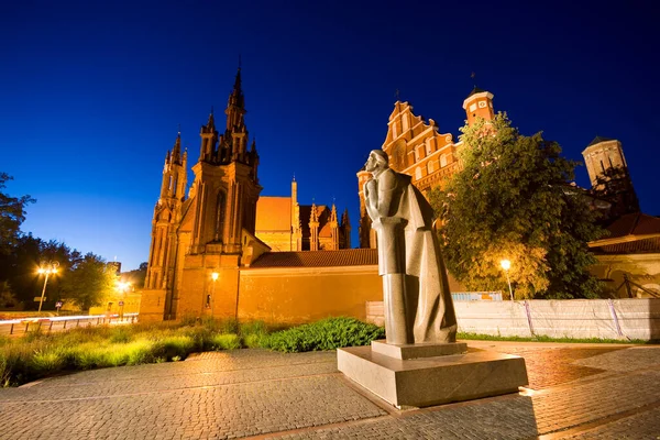 立陶宛维尔纽斯老城Maironio街灯火辉煌的Mickiewicz雕像的夜景 背景为哥特式圣安妮教堂 圣方济各会和圣伯纳德教堂 — 图库照片