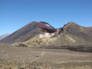 Otobüs 90 mil plaj Yeni Zelanda sürüş.