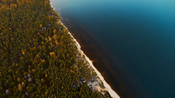Kyiv Denizi 'ndeki sahil