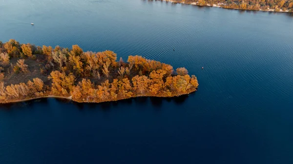Dnipro nehrindeki küçük adada sarı ağaçlar. Kyiv, Ukrayna
