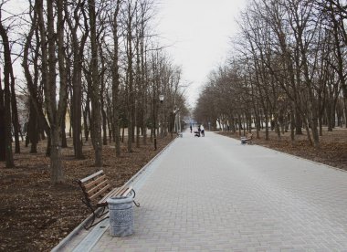 İnsanlar her gün yürümek şehir merkezinde doğal parkta Alley