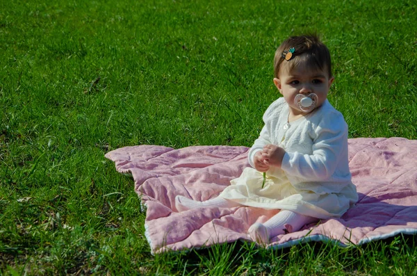 Bebê Roupas Brilhantes Uma Xadrez Rosa Grama Verde Parque Bebê — Fotografia de Stock