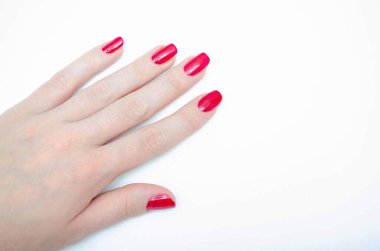 Evde manikür. Manikür. Kız tırnaklarını kırmızıya boyuyor, bordo. Parlak tırnak cilası. Makro 'da makro. Fırça, beyaz arka planda güçlü bir zum yaparak tırnağa vernik sürmektir.