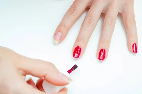 Manicure at home. DIY manicure. The girl paints herself nails in red, burgundy. Glossy nail polish. Macro in macro. Brush is applying varnish on the nail in a strong large zoom on a white background