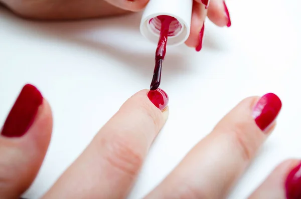 Manicure at home. DIY manicure. The girl paints herself nails in red, burgundy. Glossy nail polish. Macro in macro. Brush is applying varnish on the nail in a strong large zoom on a white background