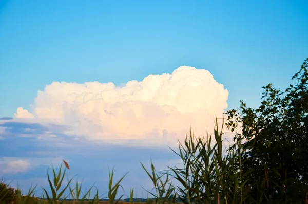 Grande Nuvem Nuvem Contra Céu Azul Macia Exuberante Exuberante Árvores — Fotografia de Stock