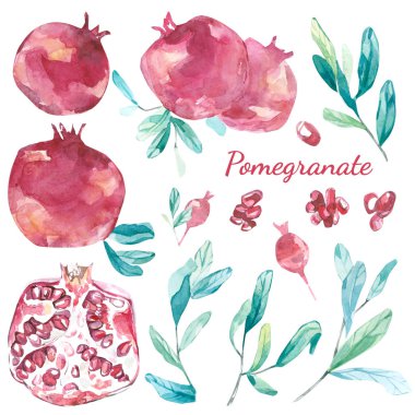 Nar yaprakları ile suluboya çizimi