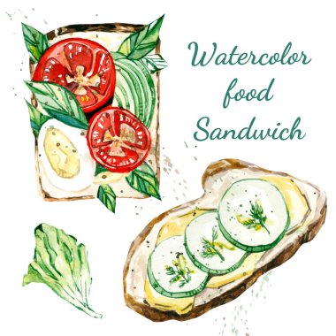 dolgu ile suluboya gıda sandviç - yumurta, salatalık, marul, soğan halkaları, Fesleğen, yeşillik, domates, peynir