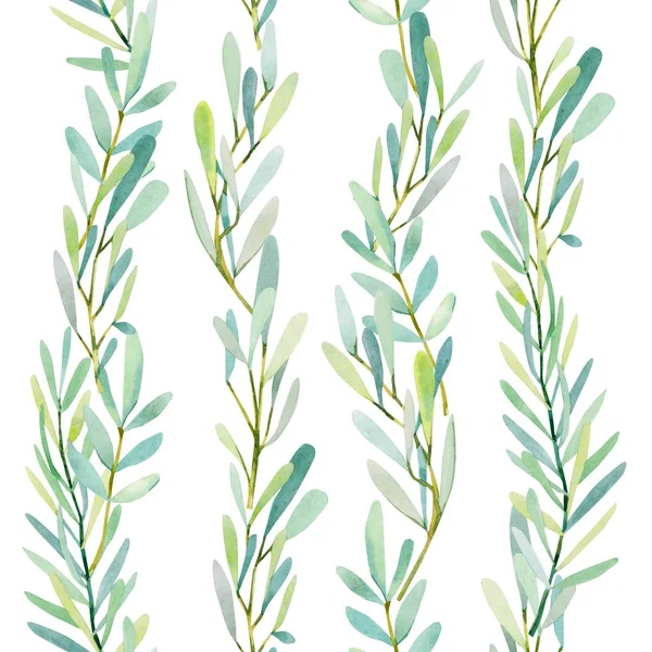 Dikişsiz suluboya Yeşillik Desen.Zeytin yaprakları ve dalları baskı. Yaz, pring orman Otlar, Bitkiler Doku.