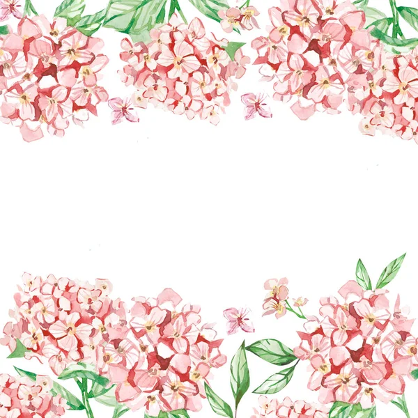 Акварельні Літні Квіти Квіткова Рамка Гортензією Банера Вітальної Листівки Весільного — стокове фото