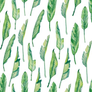 suluboya desensiz tropikal yapraklar, tekstil kumaş ve duvar kağıtları için renkli egzotik yaz baskısı 