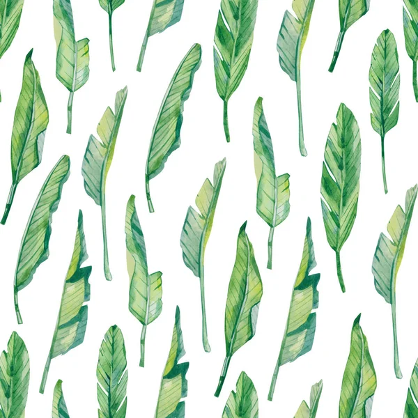 suluboya desensiz tropikal yapraklar, tekstil kumaş ve duvar kağıtları için renkli egzotik yaz baskısı 