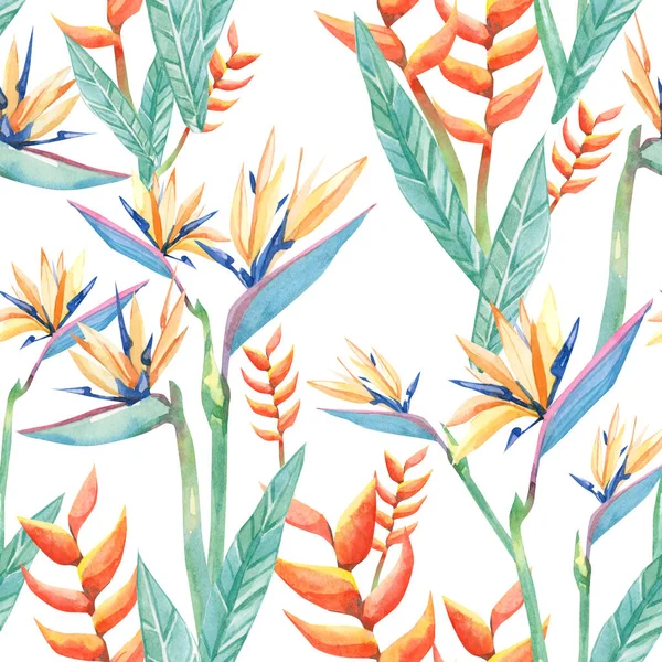 watercolor tropical flowers sterilizes und branches . Seamless pattern tropical plant hand drawn illustration