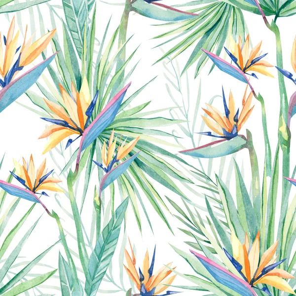 suluboya tropikal çiçekler sterilizasyon, dallar ve yapraklar. Kusursuz desenli tropikal bitki eli çizimi