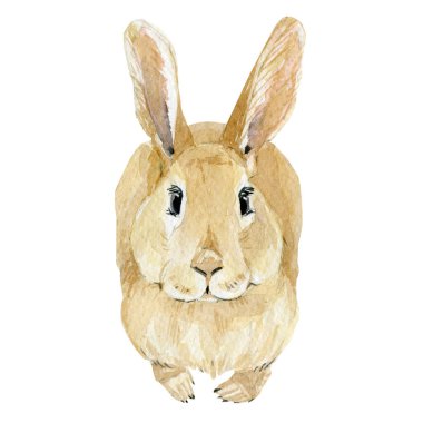 Watercolor Easter rabbit. Hand drawn clipart animal forest. Watercolor painting funny bunny, honey. Baby animal illustration.