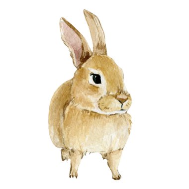 Watercolor Easter rabbit. Hand drawn clipart animal forest. Watercolor painting funny bunny. Baby animal.