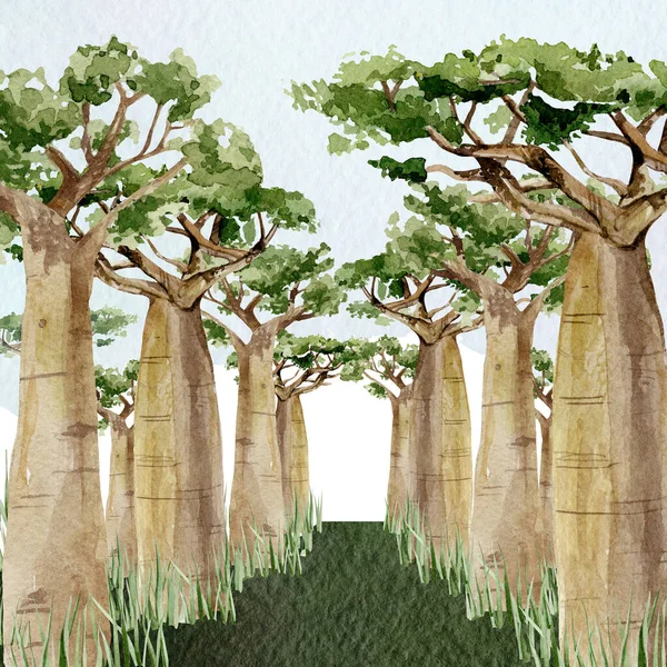Watercolor Baobab Tree Banner Hand Drawn Illustration Nature Africa Southern — Stockfoto