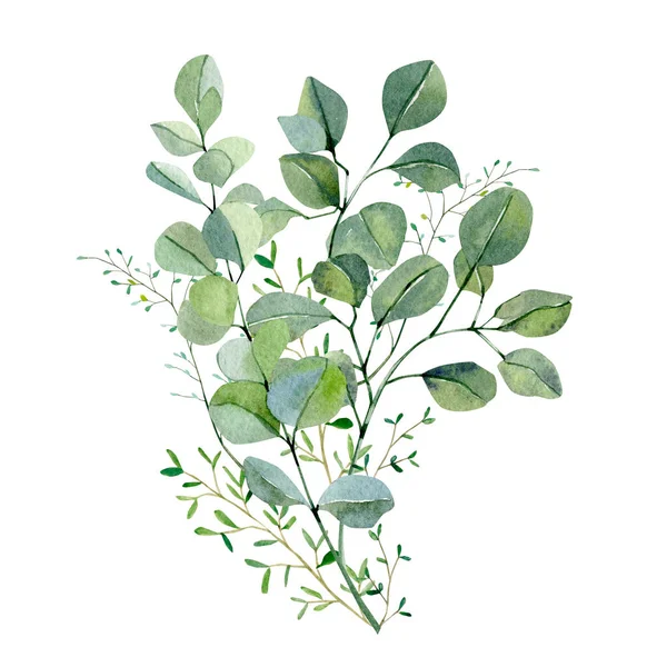 水彩手は花束銀ドルユーカリや緑の植物を描いた 白い背景に葉と枝が孤立しています デザイン カード ポスター バナーやパーティーカードのための緑のイラスト — ストック写真