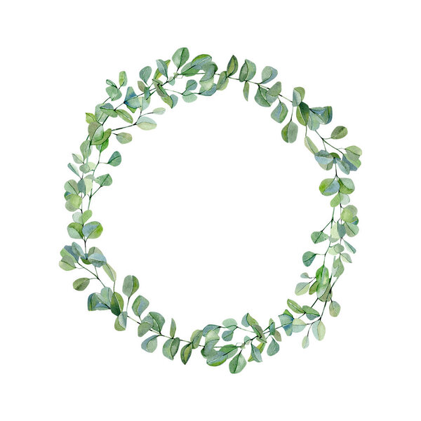 Watercolor wreath with hand painted silver dollar eucalyptus. Green branches and leaves floral illustration. Rustic garden plants.