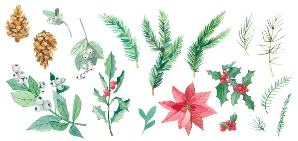 水彩画圣诞植物集 手绘植物元素在白色背景上被分离出来 带有草莓 冬青用于邀请卡 模板的枝条 — 图库照片