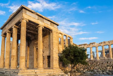 Poseidon, Erechtheion, kutsal zeytin ağacı, duvarlar, Tapınağı, Athena Polias akropolü, Atina, Yunanistan mavi gökyüzü karşı parçası sundurma