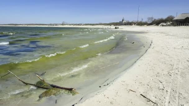 Derivados Praia Areia Mar Báltico Dia Ensolarado Primavera — Vídeo de Stock