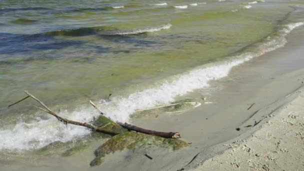 Derivados Ondas Suaves Mar Báltico Praia Areia Dia Ensolarado Primavera — Vídeo de Stock