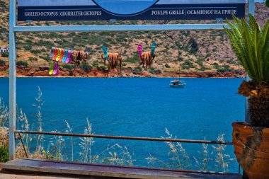 Yunanistan 'ın Girit kentinde geleneksel güneşte kurutulmuş ahtapotlar tipik Yunan tepeleri ve balıkçı tekneleri ile ipe bağlandı