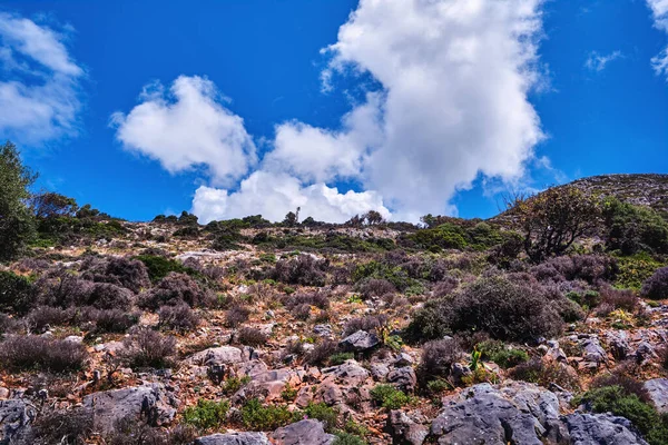 Resultado de hermoso paisaje típico griego, nubes en el cielo azul claro. Árbol de flexión baja, arbustos en colinas rocosas. Akrotiri, región de Chania, Creta, Grecia — Foto de Stock