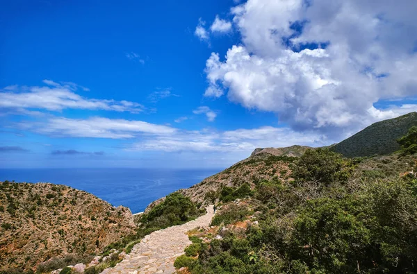 Typisk grekisk eller kretensisk landskap, kullar och berg, vårlövverk, buske, olivträd, stenig väg, stig. Halvön Akrotiri, Chania, Kreta, Grekland — Stockfoto