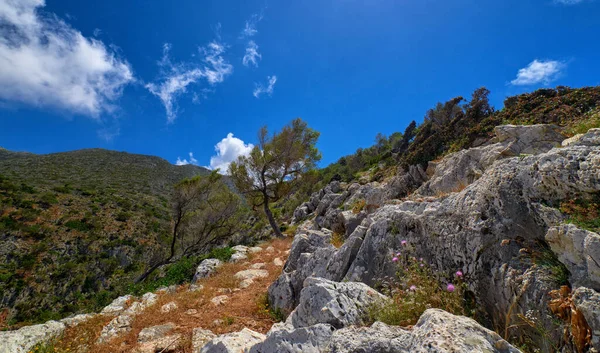 Vista típica griega, montañas, arbustos, laderas rocosas, olivos barridos por el viento, cielo azul, grandes nubes. Península de Akrotiri, región de Chania, Creta, Grecia. — Foto de Stock
