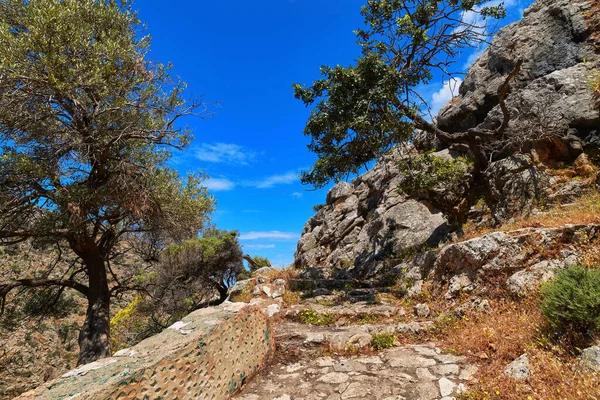 Paisaje griego. Escaleras pavimentadas, colinas, montañas, arbustos. Olivos, almácigos. Cielo azul claro, hermosas nubes, mar. Akrotiri, Chania, Creta, Grecia — Foto de Stock