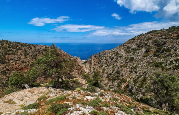 典型的希腊风景,山丘,春叶,灌木,橄榄树.晴朗的蓝天，美丽的云彩。希腊克里特岛Chania地区Akrotiri半岛 — 图库照片