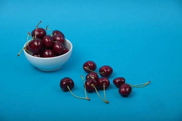 White Bowl Black Cherries Isolated Blue Background Image Contains Copy — Stock Photo, Image