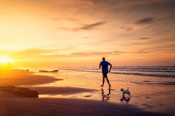 Homem e cachorro pequeno estão correndo na praia na hora do pôr do sol — Fotografia de Stock