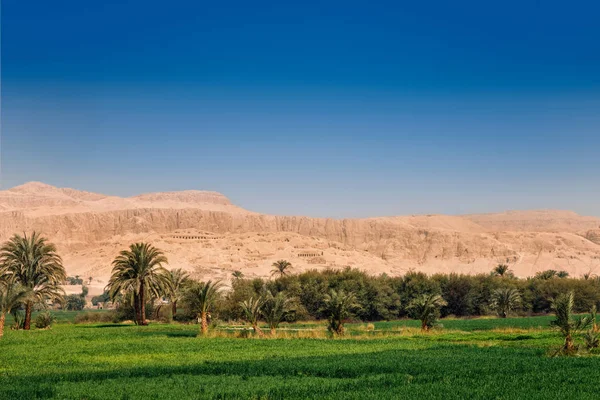 Parlak yeşil alanlar mavi gökyüzü ve Luxor, Mısır kuru sarı çöl dağları ile kontrast