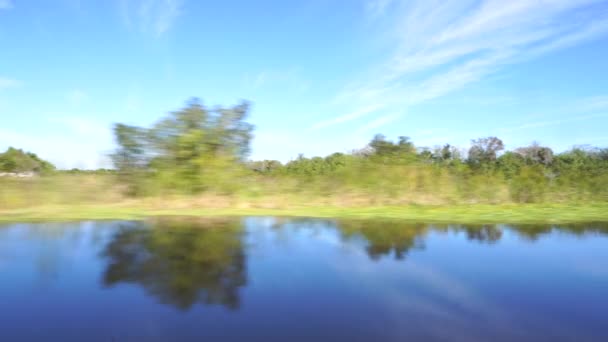 Airboat Tour Nel Parco Nazionale Eveglades Attrazione Turistica Miami Florida — Video Stock