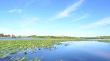 Evereglades Ulusal Parkı 'nda bataklık turu Miami, Güney Florida, ABD' de turistik eğlence.