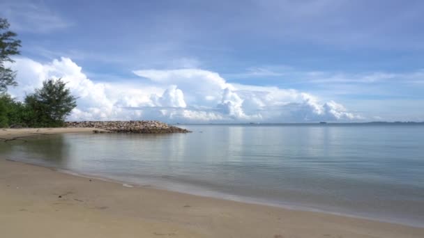 拥有蓝天和蓝树的热带海滩全景 — 图库视频影像