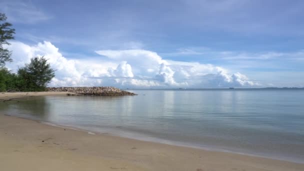 Une large vue sur la plage tropicale avec ciel bleu et arbres