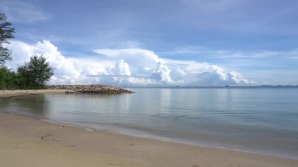 Uma Ampla Vista Praia Tropical Com Céu Azul Árvores — Vídeo de Stock