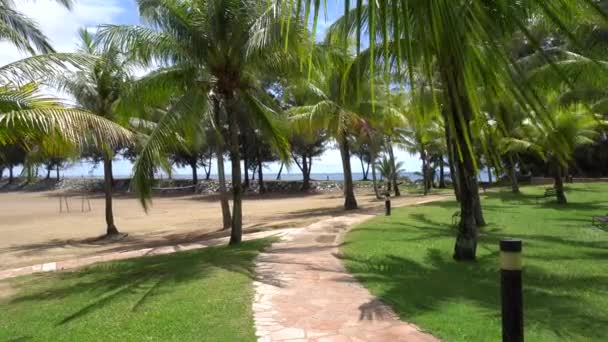 Camino Tranquilo Parque Tropical — Vídeo de stock