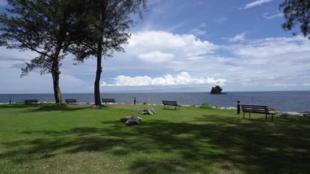 Vista Panorámica Parque Árboles Durante Día Exuberante Costa Tropical Verde — Vídeo de stock