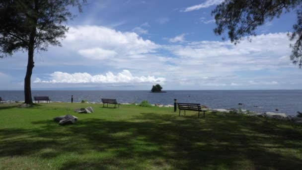 Vista Panorâmica Parque Árvores Durante Dia Exuberante Costa Tropical Verde — Vídeo de Stock