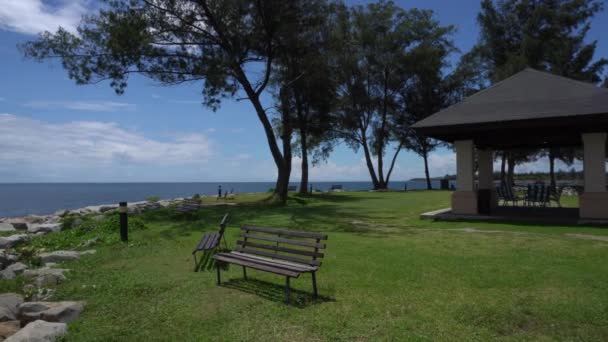 Vista Panorámica Parque Árboles Durante Día Exuberante Costa Tropical Verde — Vídeos de Stock