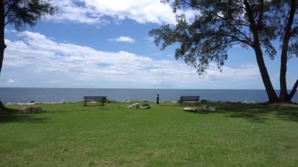 Vista Panorámica Parque Árboles Durante Día Exuberante Costa Tropical Verde — Vídeo de stock